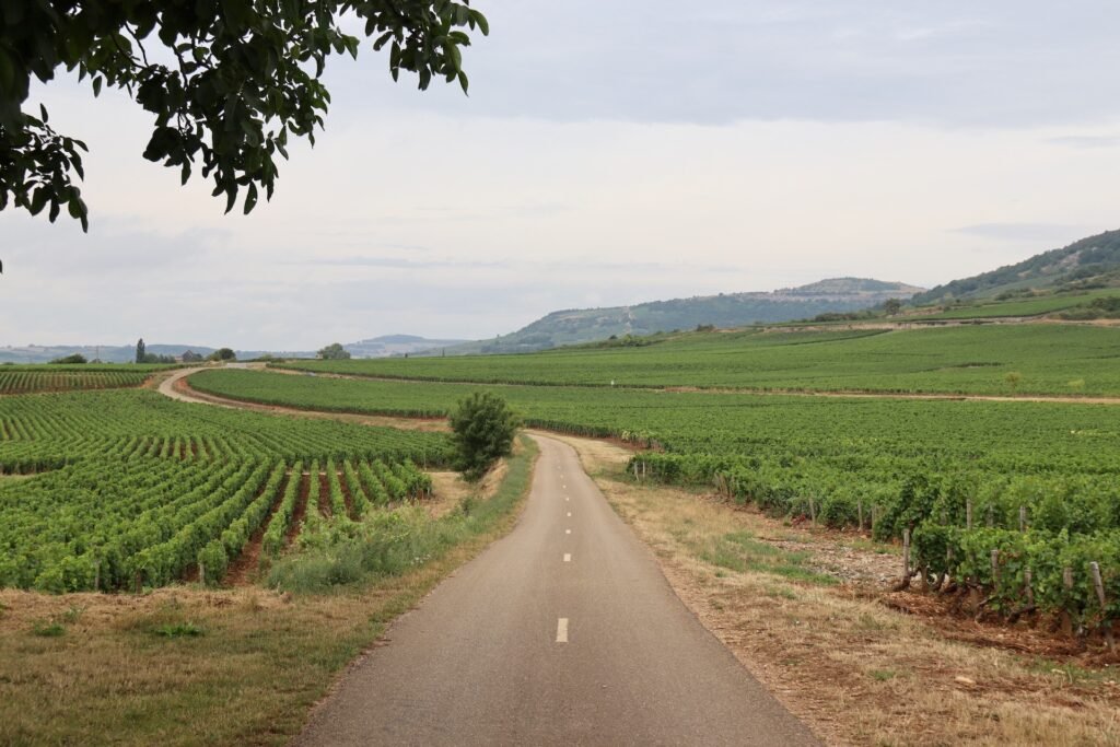 Escapade en Bourgogne : que faire dans la région de Beaune ?