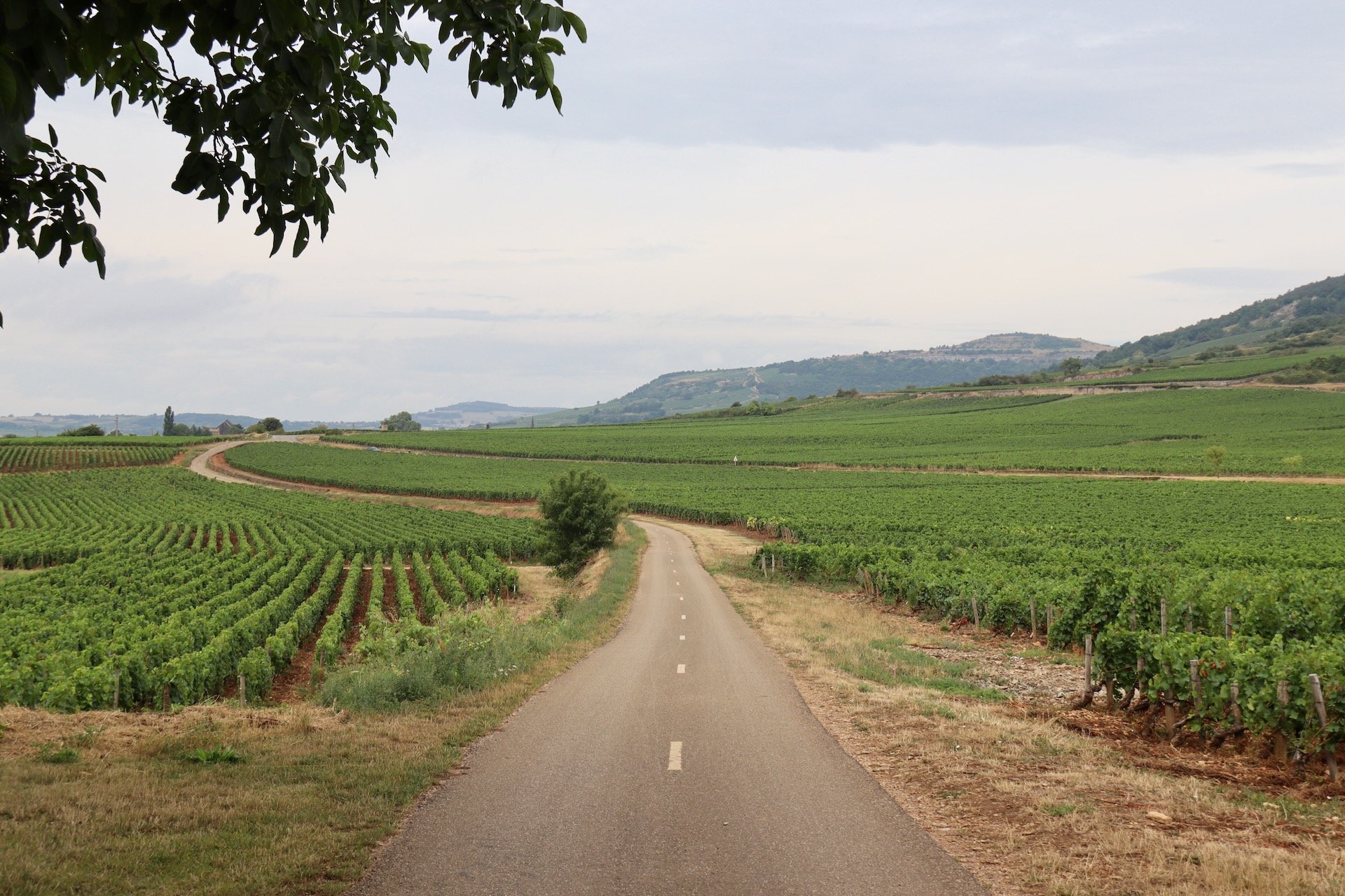 Voie des Vignes Santenay Escapade en Bourgogne France Voyage Hello June hellojune.be
