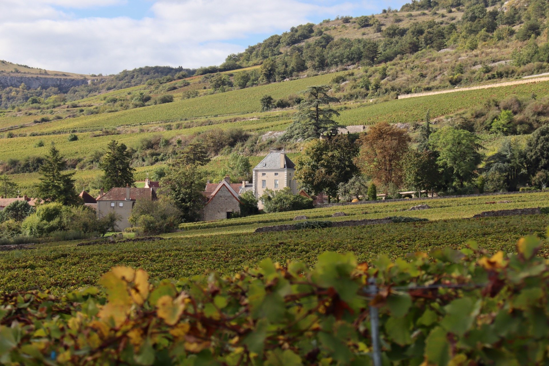 Santenay Escapade en Bourgogne France Voyage Hello June hellojune.be