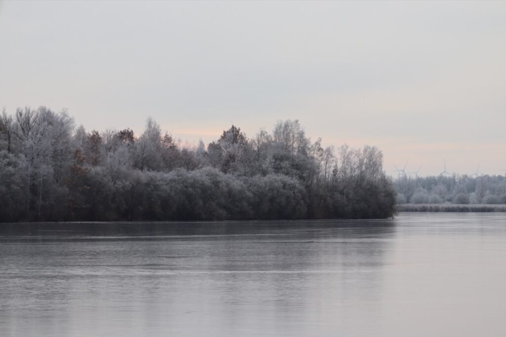 Les plus belles balades à faire en hiver en Belgique