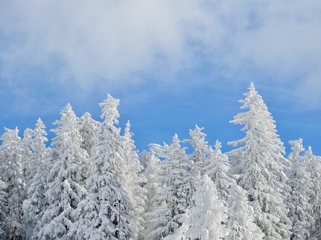 10 activités à faire en hiver pour profiter pleinement de la saison