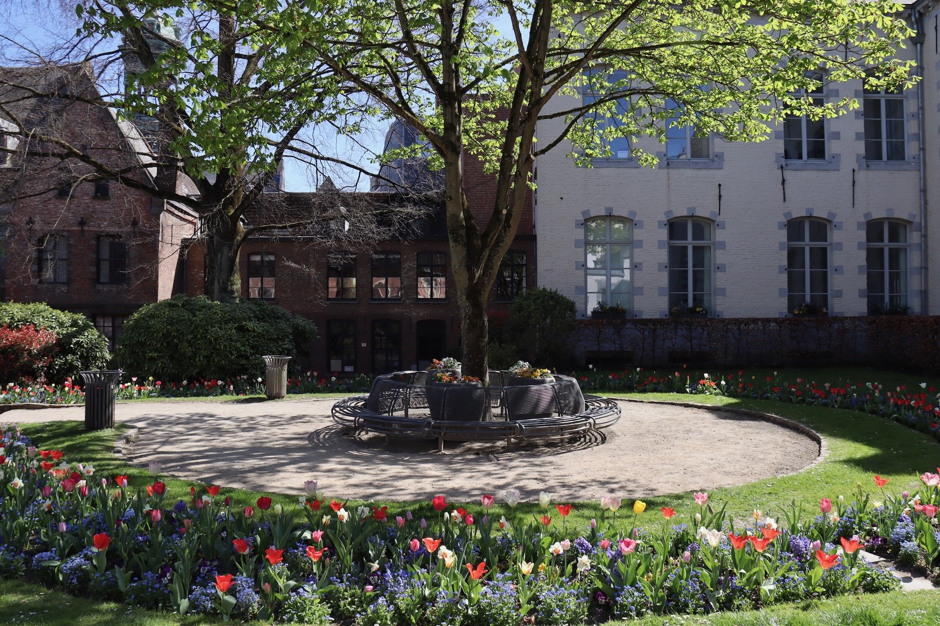 Mons Activités à faire au printemps Printemps Saisons Hello June hellojune.be