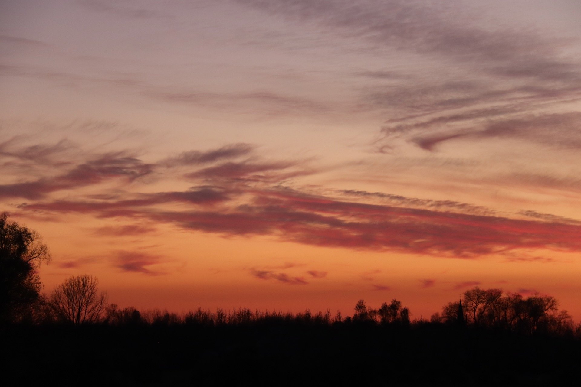 Coucher de soleil Cinéma en plein air en Belgique Été Hello June hellojune.be