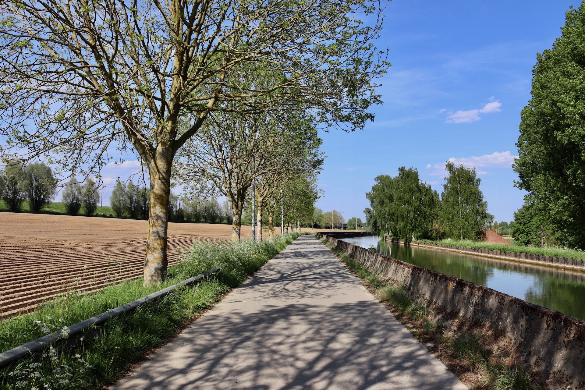 Canal Blaton-Ath Balades à vélo Wallonie Belgique Été Hello June hellojune.be